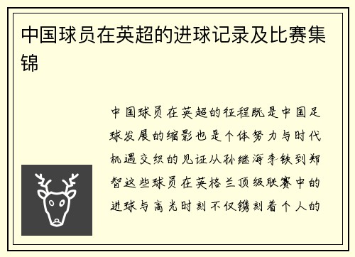 中国球员在英超的进球记录及比赛集锦