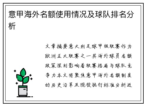 意甲海外名额使用情况及球队排名分析
